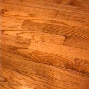 Meet your Posher, Timothy